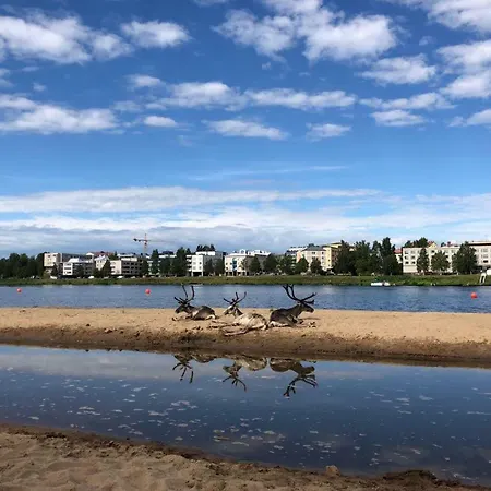 Saaga * Rovaniemi
